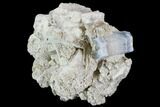Aquamarine Crystal in Albite Crystal Matrix - Pakistan #111357-2